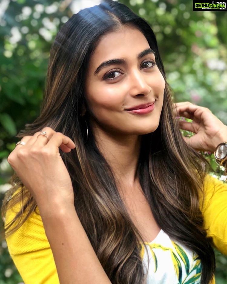 Pooja Hegde, wallpaper, best picture - Gethu Cinema Pooja Hegde, wallpaper, best picture - Gethu Cinema