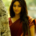 Anu Emmanuel, saree, glamour, traditional, cute, Thupparivaalan actress