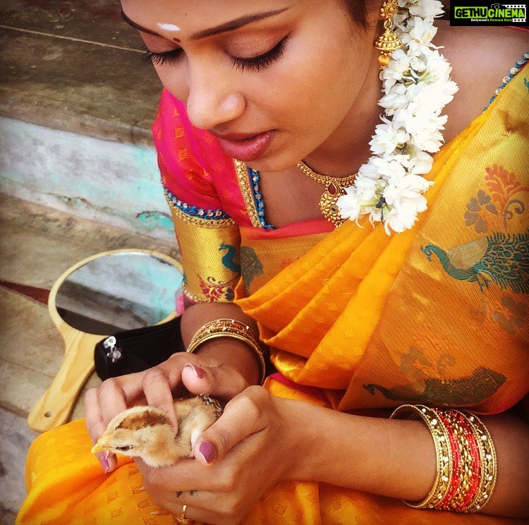 Nivetha Pethuraj Instagram Hd Saree Wallpaper Gethu Cinema nivetha-pethuraj-instagram-hd-saree-wallpaper-gethu-cinema