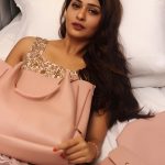 RX 100, Payal Rajput, handbag, unseen