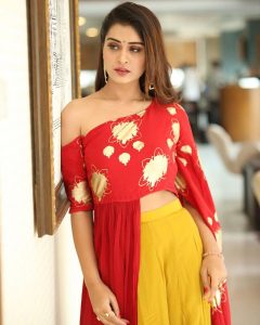 RX 100 Actress Payal Rajput 2018 Cute & HD Images - Gethu Cinema
