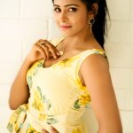 Subiksha, tamil actress, hd, photoshoot