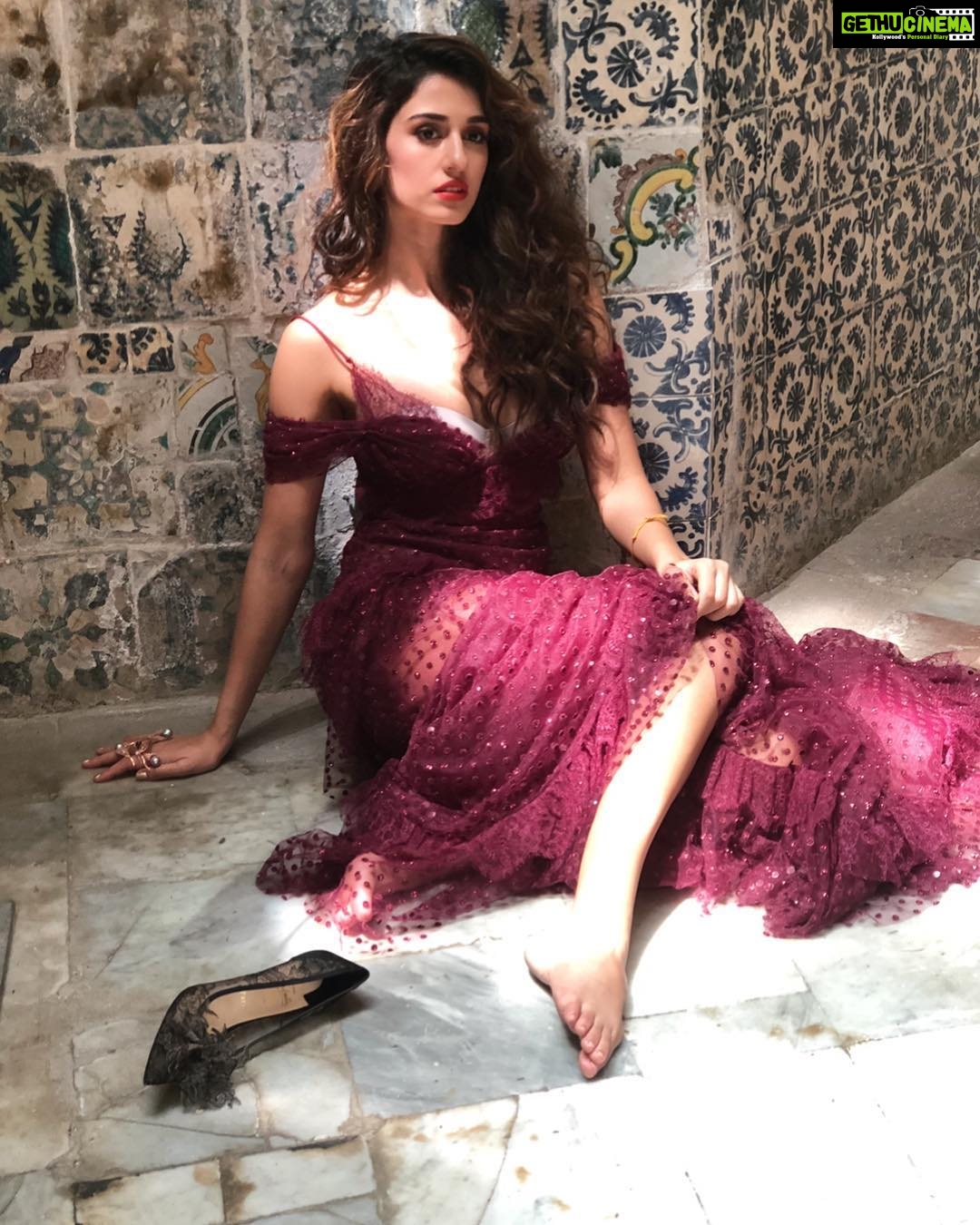 Disha Patani shares hot video on Instagram, check out video here |  NewsTrack English 1