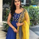 Nabha Natesh, Adhugo Actress, voilet dress