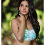 Nabha Natesh, Glamorous Photo Shoot, classy look