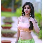 Nabha Natesh, Glamorous Photo Shoot, graceful