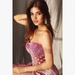 Nidhhi Agerwal, Mr. Majnu Actress, side pose, structure