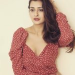 Payal Rajput, Hanji Hanji Heroine, red dress, spicy