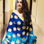 Payal Rajput, Marriage Palace Actress, saree, loose hair, winsome