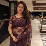 Poonam Bajwa, brown saree, pretty