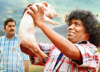 PanniKutty