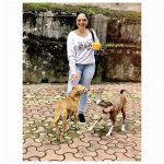 Srushti Dange, Lots Of Love Actress, street dogs