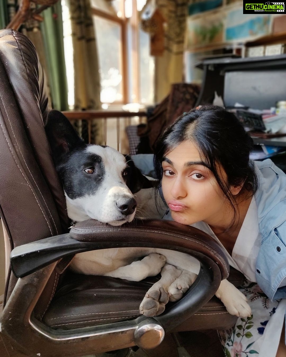 Adah Sharma Instagram - Tag someone who wants a massage from Adah Sharma (conditions apply.SWIPE to see if you are eligible) . . . P.S. I don't always watch you sleep ...but when I do you'll never know 🤡❤️😬 #HowWhenSaidToAnAnimalitIsntCreepyButSomehowEveryHumanISayItToGetsFreakedOutWhy #IfYouReadMyLongHashtagsYouMightGetShortlistedandWinAVirtualDvdOfAnAjayDevganMovieofYourChoice