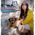 Adah Sharma Instagram - Describe your mood in an emoji 😁🙃😉😤😜😱🤢🤡👻💩👽🤓💥 . . #100YearsOfAdahSharma #adahsharma . P.S. Where there is a dog there will always be an Adah Sharma 🤣 #ItsTrueIMakeAnimalFriendsWhereeverIGo
