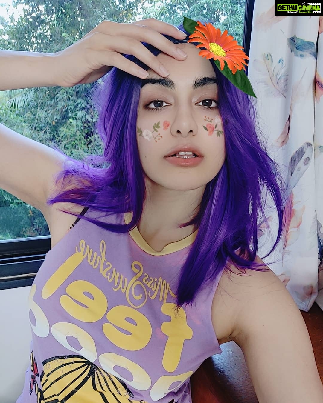 Adah Sharma Instagram - Which glasses? Ek glassy ,do glassy, teen glassy ,chaar ! Put a flower on ur head and a mask on ur face , beat corona like a superstahh π*sing* #100YearsOfAdahSharma #adahsharma . Since Adah Sharma's purple hair is trending I thought I'd also do some purple hair selfies πππ
