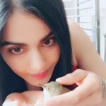 Adah Sharma Instagram – What should we name this one?
Before he gets well and flies away 🤩🤩🤩
I’m going to share the recovery ❤️ @adah_ki_radha
.
.
Naam karan of chidiya 
#100yearsofAdahSharma #adahasharma #BehindTheScenes