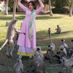 Adah Sharma Instagram - Tag a बंदर monkey 😁 Full video out on YouTube . . #100YearsOfAdahSharma #1920to2020 #adahsharma #OnceAMonkeyAlwaysAMonkey #BewareOfTheHumans