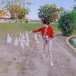 Adah Sharma Instagram - What is your New Year resolution? Mine is being more social (with the geese and cow society is social only na?😁) Happy new year from us to all species ❤❤❤ be kind, be inclusive , be free ! #100YearsOfAdahSharma #adahsharma #1920to2020 SWIPE only if you want to hear what Adah Sharma would sound like as a goose . . P.S. the number of geese following me is the number of projects I'm doing this year 😁 #ArreReallyFourAreUpForReleaaeAlso #PracticingHowToBeInTwoPlacesAtTheSameTime #WhileSimultaneouslyMakingLongHashtags