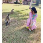 Adah Sharma Instagram – Tag your single friends , SWIPE 
Presenting some of India’s most eligible bachelors/bachelorettes 😁😍🔥
#100yearsofAdahSharma #adahsharma #monkeys #monkeyingaround