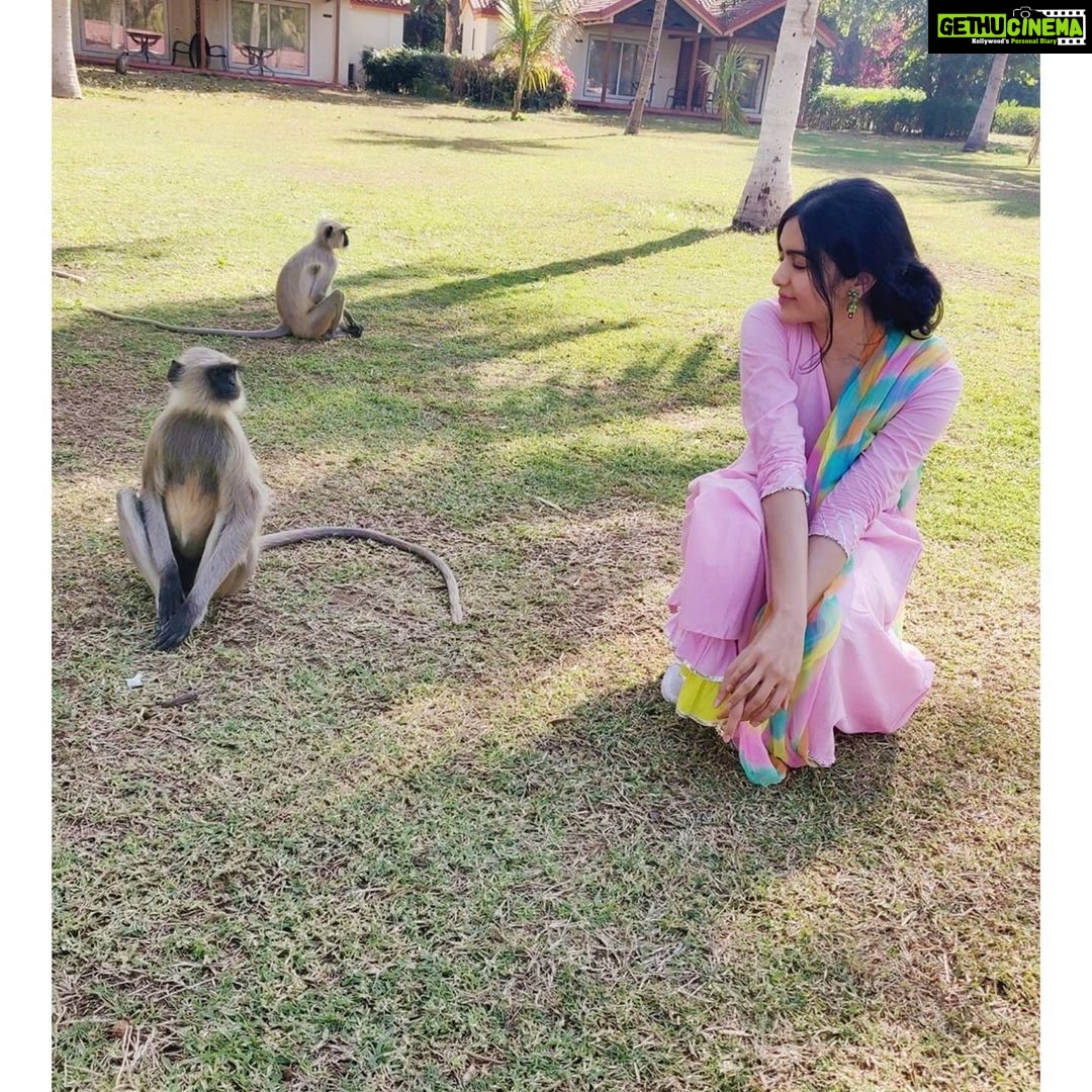 Adah Sharma Instagram - Tag your single friends , SWIPE Presenting some of India's most eligible bachelors/bachelorettes 😁😍🔥 #100yearsofAdahSharma #adahsharma #monkeys #monkeyingaround