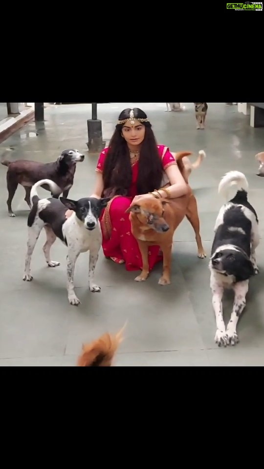 Adah Sharma Instagram - Happy diwali from all of us to you ❤❤❤ #happydiwali #bekind #100YearsOfAdahSharma #adahsharma #behindthescenes Full video in my prev post