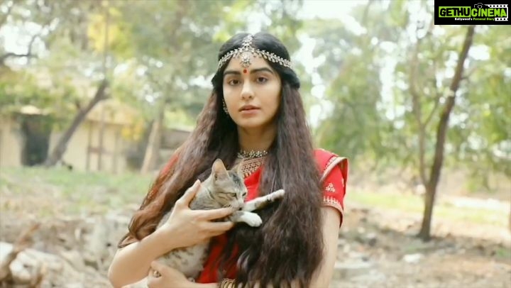Adah Sharma Instagram - HAPPY DIWALI !!! Tag an Animal Lover or someone who isn't one🐶🐮 From all of us , to you ❤️❤️❤️ #100yearsofAdahSharma #adahsharma . . Shot by @aishwaryaa_nayak_photography Got me ready for this from hair to toe nail @snehal_uk . . P.S. #SinceIAmTheSpokespersonforAnimals ❤️❤️❤️ #love #animals Starring : the dogs and cats and bakris from the Welfare of Stray Dogs.
