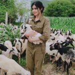 Adah Sharma Instagram – Are you ‘Baaaaaa’d like me ?😉😉The only time it’s ok to follow the herd 😁 see their expressions when I converse yaaaa😍😍
#100yearsofAdahSharma 
.
P.S. if all you do is follow the herd, you’ll just be stepping in poop all day ❤️
