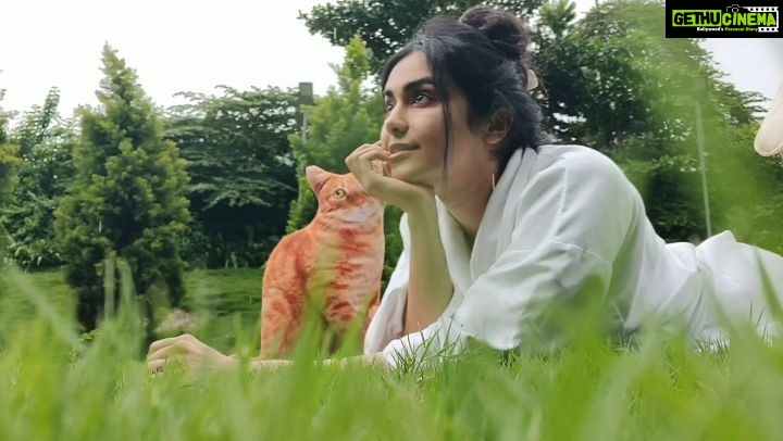 Adah Sharma Instagram - Happy Sunday ! Take some time to stand and stare ❤️ Produced by Radha Sharma Directed by Radha Sharma Starring Radha Sharma Also featuring Adah Sharma Poem : W.H. Davis What is this Life if, full of care #RavivaarWithRadha #100yearsofadahsharma . . P.s. video shot in between shoot 👀 don't ask how