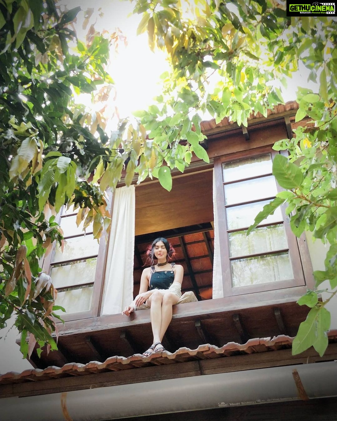 Adah Sharma Instagram - When one door closes , another opens π»π»π»π» When all doors are nailed shut , we find windows π§πβ₯οΈπ€ΈββοΈπ€π¦ . . P.S. if doors and windows are opening and closing ,your house is haunted....tick tock tick tock #2020islegitscarierthan1920 #100yearsofAdahsharma
