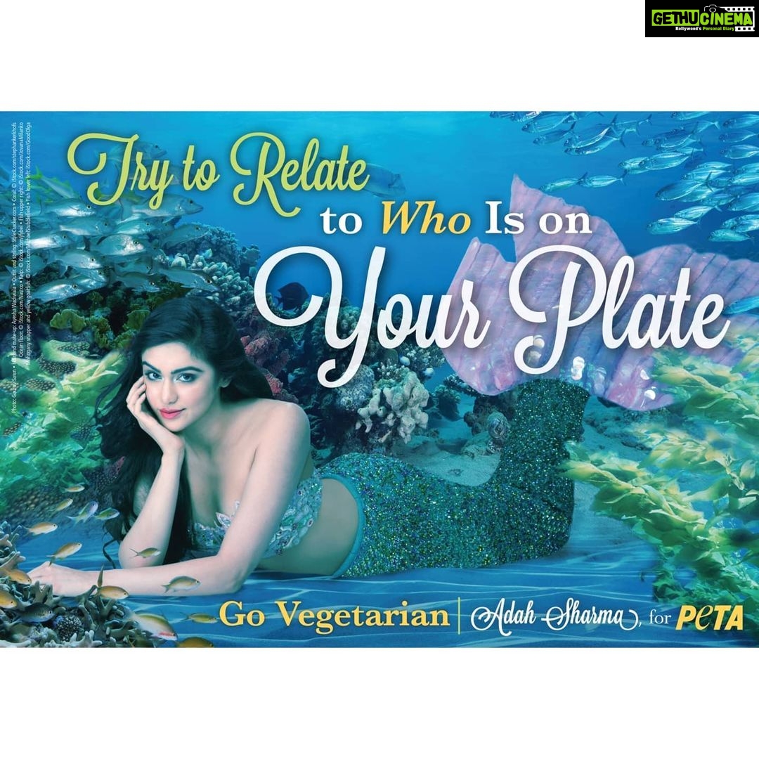 Adah Sharma Instagram - My campaign with @petaindia for #worldoceansday SWIPE if you love Fish(to eat ,or to see them stay alive) β₯οΈ Rasmalai Amma has a lovely message for you all ππ π . . Shot by @gauravsawn π§@stylecracker @sachinsbangera . . Be a mermaid for a day....checked off bucket list π€ΈββοΈ Next up ...play a character like King Kong in a movie Teach my crow to say "help I've been turned into a crow!" . . VEGETARIAN food has a lot of healthy options for protein and rich in omega 3 Chia seeds (sabja), walnuts, flaxseeds Want nice skin and hair like me ? I eat dal, chickpeas, peanuts, almonds, quinoa β₯οΈ