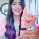 Adah Sharma Instagram - Tag someone who should see a singing cat 😁 Poll : Radha Sharma or Radha Sharma Who sang better ?(only Radha is singing here I just gave her some support 🙃) . . Soooo much love u guys have been sending Radha and me for my TED talk and for my short film TINDEY so I've decided to do.... *drum roll* . #RavivaarWithStarkidRadhaSharma . Every Sunday Radha will be singing one song ! You guys will name your favourite song and she will pick from the comments ♥️ #RavivaarWithRadha #adahsharma #100yearsofAdahsharma #1920to2020