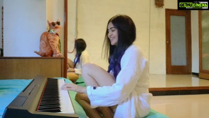 Adah Sharma Instagram - TAG your friends with who you would want to go on a Holiday with! Also what's your fav holiday destination? SWIPE SWIPE SWIPE to see the original 🏖️🌊🌞 . . . This is my Corona version of Yeh Lamha Jee le Re dedicated to all of my Holiday Peepals ! @thezoomstudios @saurabhbhowal @zoomtv @farhanzamma @firdaussuhail @praptiangane @sachislife09 @purrkyun @nikhil_camcam @snehal_uk @makeup_sid1 @shirazthelabel @misterwrite_ @lakshyarajanand @priyanksharmaaa @veerrajwantsingh @aashimgulati @sarah.anjuli @natasastankovic__ (and if i forgot to tag anyone I'm forgiven coz I even akele subtitled this yaaaa ! ) . . Since we can't go for a Holiday now for a bit you can go to youtube and watch our web series THE HOLIDAY 😁 and virtually travel.And for everyone asking nooooo this isn't based on my real life 🙈 . . Disclaimer : this song is only for entertainment purposes, to make you smile while you are sitting at home because you know if you get out Corona will get you 🧐