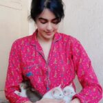 Adah Sharma Instagram - MERRY CHRISTMAS!!! Suggest names for these three !! , Santa left some surprise gifts for me at Paatis house 😃🤗🤩🤩🤩 Russel my crow also wishes you all Merry Christmas! (His melodious voice in the video ) #merrychristmas #christmas #100YearsOfAdahSharma #adahsharma #catsofinstagram #kittensofinstagram #kittens