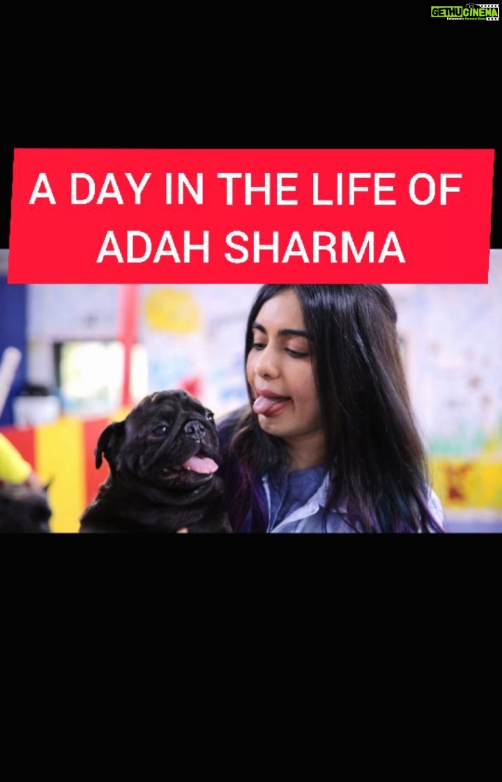 Adah Sharma Instagram - Which one is your favourite look? Guess mine 🙃 . I’m gonna give you a sneak peek into my day. In this video, I’m going to show you three different looks for three different पल's The three पल's (pals) which I’m going to showcase today are my Kathak riyaaz pal, hanging with my besties pal and the Red carpet pal. (pal being moment not friend waala pal🤓) I start my day with my passion, dance. I practice Kathak every morning and for that, I wear an 'Anarkali'. When it comes to hanging out with my friends, I keep it casual by wearing 'Denim on Denim' with white sneakers and a red backpack. On the red carpet, today I choose elegant & sleek. So I’m wearing a 'Black Dress with a slit' and dark lips for a pop of colour. All these looks can be easily put together on @amazondotin. So, don't wait, make your #HarPalFashionable with @amazonfashionin red carpet location @theparkhotelmumbai shot by @vatsal_shethia_photography hair @snehal_uk
