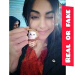 Adah Sharma Instagram - Poll: REAL or FAKE Not my lips, the fellow in the basket 🤣💋👄 my lips don't lie (yet 😬) . . Also guess who the guy in the hood is