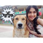 Adah Sharma Instagram - Tag your selfie partner ! SWIPE SWIPE SWIPE Mine is too cool to be tagged😁 Sunday selfies with Shakespeare (who doesn't have an Instagram account yet ) #sundayfunday #sunday #100yearsofadahsharma . . The last image is my fav 😁❤️ . .