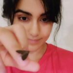 Adah Sharma Instagram - TAG Someone who's afraid of 'Moth' Mujhe Moth se dar nahi lagta,,,,,Thappad se lagta hai🙃🐙🐏 Meet Kaala Dil who likes to chill on me when im doing headstands . . P.S. this is also a tutorial for people who put messy hair don't care in posts 😁🤫😜 . . #100YearsOfAdahSharma #AdahSharma #moths #mothsofinstagram #dilcheezkyahai #DedicatedToSomeoneSpecial
