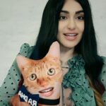 Adah Sharma Instagram – Duniya mein peheli baar,
The first VERIFIED pillow on Instagram –  RADHA SHARMA ! @adah_ki_radha #nepotismrocks
.
.
Thank u guys for all the love on TINDEY …my director Seema and me and all of us involved in the film are 🤸🤸🤸🤸♥️♥️♥️ that you love our quirky film ! 
A lot of you commented that Radha got the film only because of Nepotism, because she is related to Adah Sharma when that actually isn’t true. She got this film based purely on her talent , her expressions and her hard work.
This video to prove that just with a little support from me star kid  Radha Sharma can even sing!
.
.
If you haven’t watched TINDEY yet…link in bio 
Watch Radha’s scintillating performance in it
#100yearsofAdahSharma