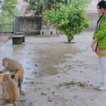 Adah Sharma Instagram – Tag a few monkeys and don’t say anything 😁
.
.
.
.
.
They told me these monkeys are wild so must not interract  with them. They also said that they will scratch my eyes out so must not feed them. But then if everyone listens , these guys will be so hungry !! Also they were nicer to me than some people in the film industry when I had started my career 😬🤣
Must speak English to Rishikesh animals and Hindi to the Paris ones 🙃