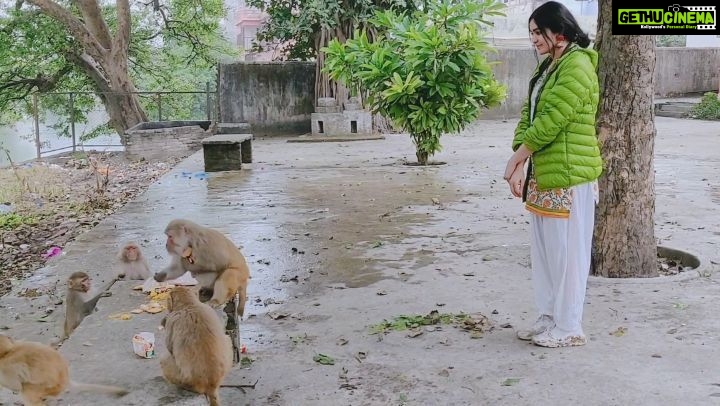 Adah Sharma Instagram - Tag a few monkeys and don't say anything π . . . . . They told me these monkeys are wild so must not interract with them. They also said that they will scratch my eyes out so must not feed them. But then if everyone listens , these guys will be so hungry !! Also they were nicer to me than some people in the film industry when I had started my career π¬π€£ Must speak English to Rishikesh animals and Hindi to the Paris ones π
