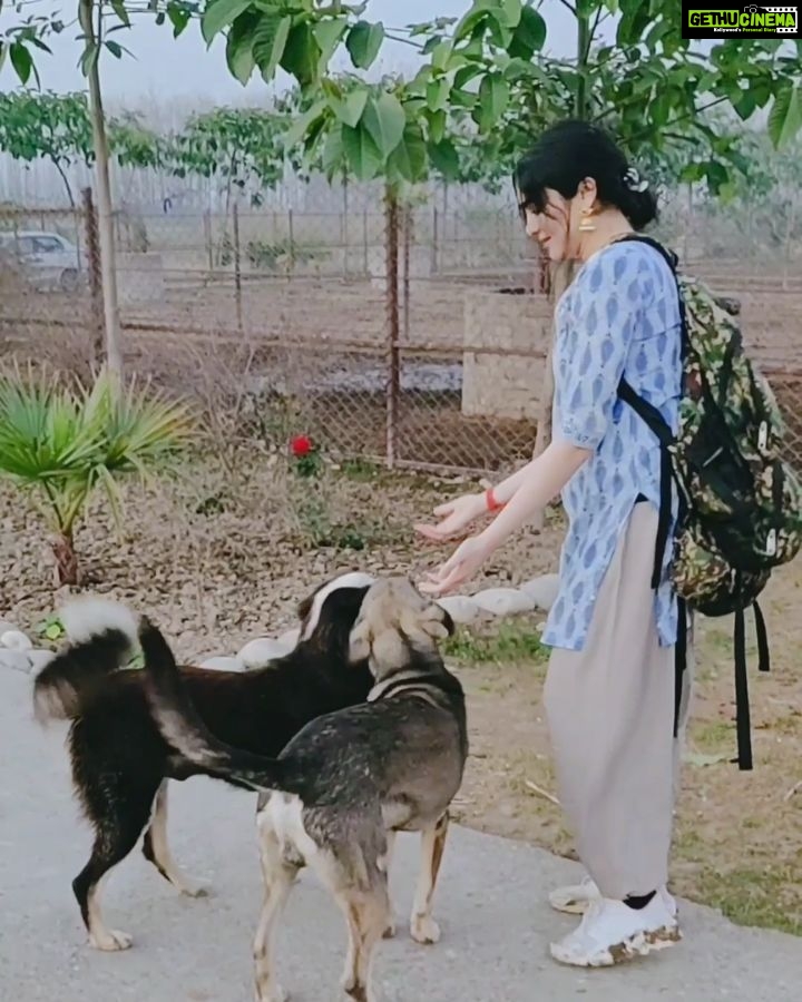 Adah Sharma Instagram - WILD AND FREEEEEE with these wild ones 😍 Tag someone who would like to do this ! Following my new year resolution of being more social and making new friends 😁😁😁 These guys took me to a secluded spot on the banks of the Ganga . The main Ganga Aarti they told me I needed full security to go to coz there would be lottts of people there . But these new friends helped me out and took me where not many humans have set foot..4 bodyguards I felt very safe ... We danced and partied also later !! Then one of them got jealous. He was like if anyone's dancing with Adah it will be me ! Or no one's dancing ! . P.S. this is actually a #nomakeuplook and #messyhairdontcare #mondaymotivation #alsowhatsthehashtagforwhereyoudontcareaboutwhatyouarewearing btw it was 6 degrees but I ran so much I could take off the jacket Rishikesh