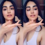 Adah Sharma Instagram - Be strong ...strong enough to be gentle 😇 #Commando3 ...9 days to go !!!! . Ok so I was sooooooo excited when this happened...I woke up in the morning,still in bed and this one was at the window and I was admiring the beauty before getting my camera to click 100 pictures and videos and he came and sat right on my fingers 😍😍😍😍 then I have slowwwwwly shifted to grab my phone and take selfies and now I know the exact feeling when someone gets excited to take a selfie with their fav actor/celebrity/fav person