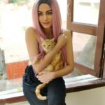 Adah Sharma Instagram - Posing with @adah_ki_radha or real cats ? Obviously Radha Sharma !! This is just a one off 😁😁😁 . . Also ...how to look fashionable when all your good tops have gone for a wash 😁😉