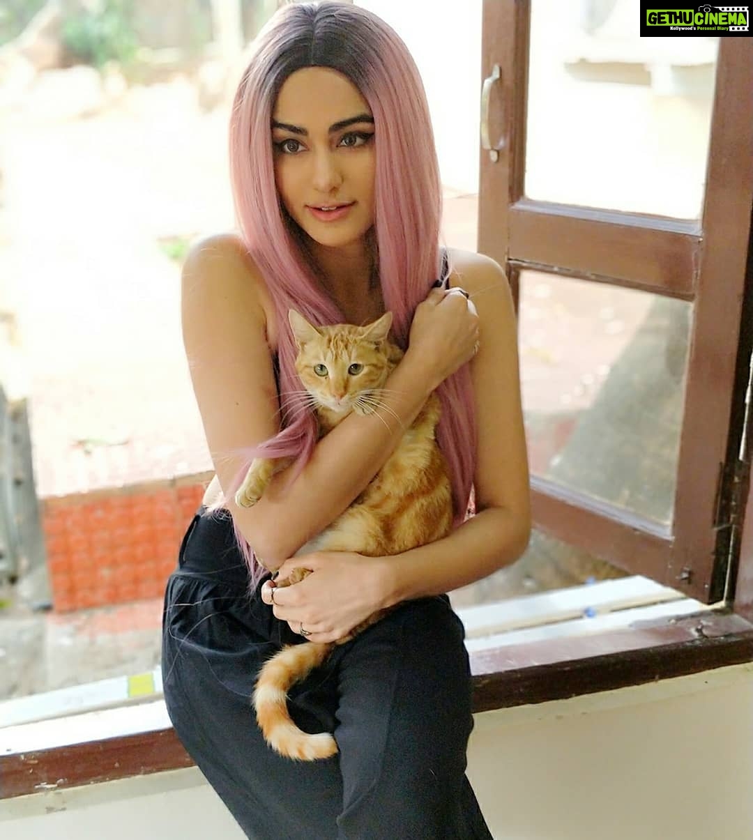 Adah Sharma Instagram - Posing with @adah_ki_radha or real cats ? Obviously Radha Sharma !! This is just a one off 😁😁😁 . . Also ...how to look fashionable when all your good tops have gone for a wash 😁😉