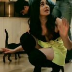 Adah Sharma Instagram - Adah Sharma ko GUSSAA Aaagaya!!!! Watch till the end 😁😁😁😆 she's not the cool cat u thought she was ! . U guys always say I share videos where I'm laughing. But I also get angry yaaa...especially if I'm mid conversation with a fellow animal and I've said give me 5minssss n then I'm interrupted 😁😁 Also I was sooo nervous this club trail night.Crowds overwhelm me. And in clubs you can't see the sky also. But this night was fun with our song So Gaya !! @tseries.official @neilnitinmukesh @naman.n.mukesh You saw the pub crawl video...this is the cat crawl one 😜and since u like my captions I edited it myself . The free massage is applicable only for cats