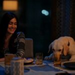 Adah Sharma Instagram - TAG a BITCH😄 #AisaWaisaPyaar a love story between a kutta and a kutti 🤩🙃 Releasing on the 27th of October !!! . . . #100YearsOfAdahSharma #adahsharma . . P.S. koi pareshaan kare toh ...... ?