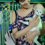 Adah Sharma Instagram – Tag a dog lover ! Force them to watch a cat video 🤣
.
.
.
Fineeee I will put videos with other cats also on my Instagram ( a lot of you think I’m unduly promoting Radha Sharma 🙄)
This cutie has one blue and one green eye if u look closely 😍 met her on the sets after packup…now why can’t I be so comfortable when I meet new humans ? Ok not so comfortable ..don’t want to be picking them up and touching them 🤣🤣
So I shall express my love towards other cats but finally @adah_ki_radha will be cast in the film so go follow her now only