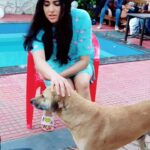 Adah Sharma Instagram - Tag a dog lover 🐫🦇🦔🐁🐃🦓 We're a family of 2.2 million now !!! ❤️❤️❤️❤️ Iss baat pe haath milaana bantahai 🤗 Instagram is one big party for me coz of the love you guys give me , the edits and art you make and my awesssssomeeeestt adah fan clubs 😘😘😘