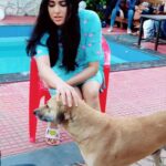 Adah Sharma Instagram – Tag a dog lover 🐫🦇🦔🐁🐃🦓
We’re a family of 2.2 million now !!! ❤️❤️❤️❤️ Iss baat pe haath milaana bantahai 🤗
Instagram is one big party for me coz of the love you guys give me , the edits and art you make and my awesssssomeeeestt adah fan clubs 😘😘😘