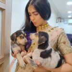 Adah Sharma Instagram - Tag someone who loves Puppieeeessssssss 😍😍😍😍😍🐶🐶🐶🐶🐶🐾🐾🐾🐾🐾🐾🐾🐾 . . Behind the scenes at the dabur vatika shoot Wearing @kalkifashion styled by @juhi.ali makeup @siddheshnakhate hair @snehal_uk
